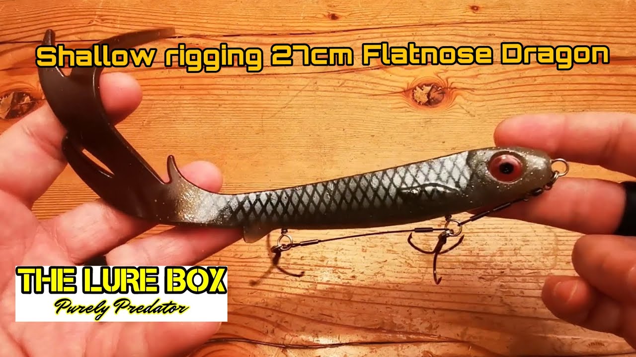 Shallow rigging a 27cm Flatnose Dragon #lurefishing #BFT #EJlures