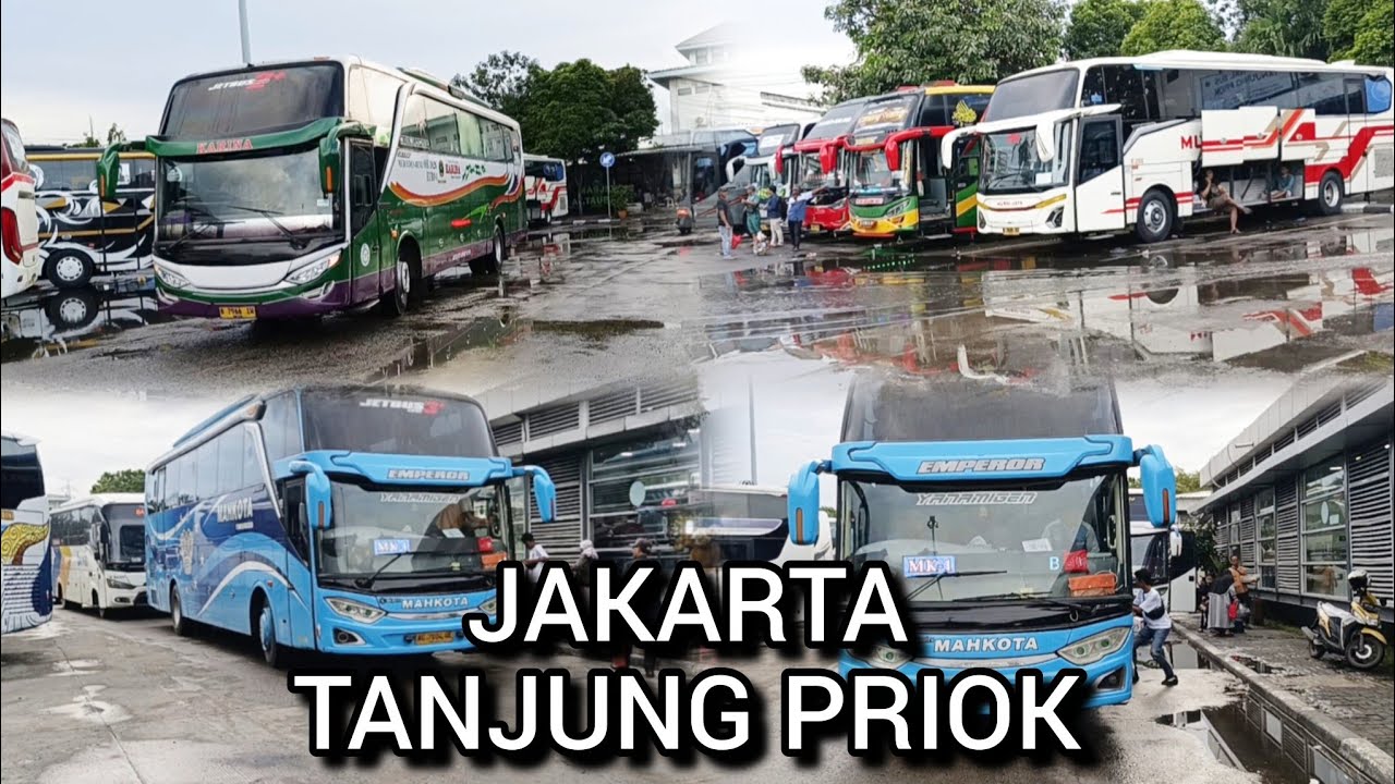 Terminal Tanjung Priok Jakarta !! Bus Karina, Mahkota, Cititrans, Murnijaya, dll
