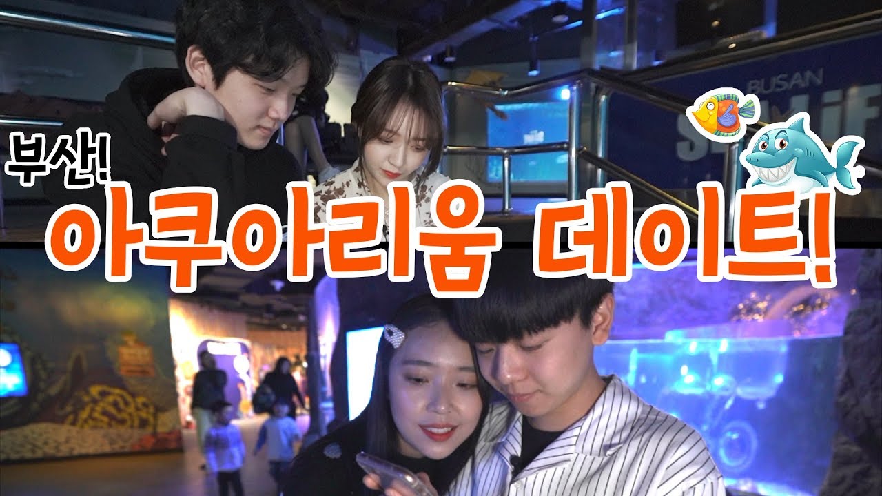 [여행NOW] 아쿠아리움으로 여행을 떠난 여름석준과 혜지황! 부산여행 그 두번째 이야기, 아쿠아리움에서 펼쳐지는 레이스!