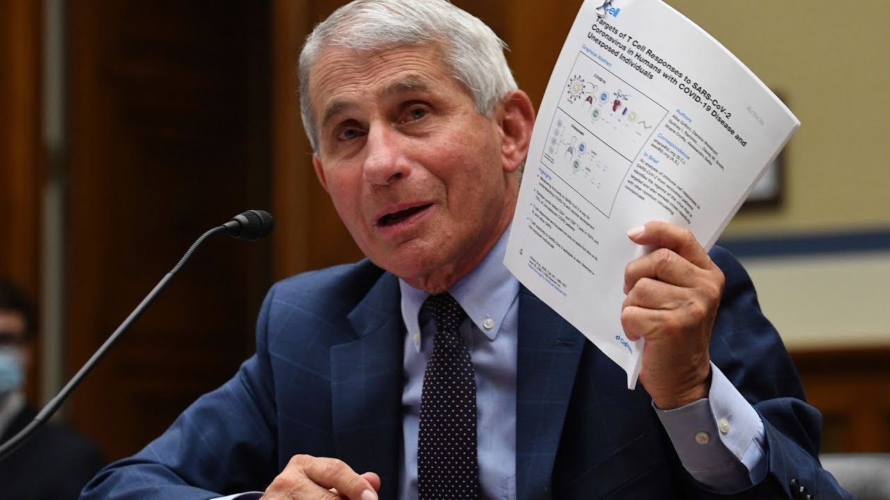 Anthony Fauci Says He's Hired Security To Protect Daughters From Death Threats - Today News