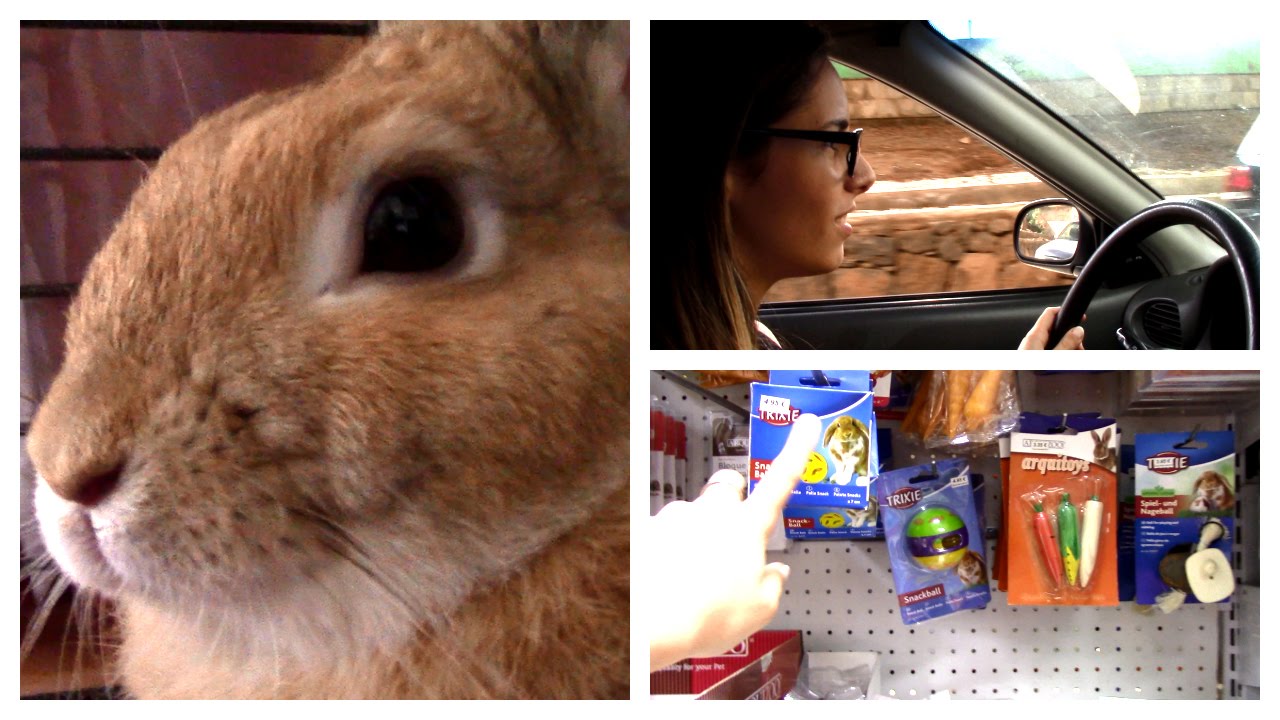 VLOG #4: Comprando cositas para los enanos