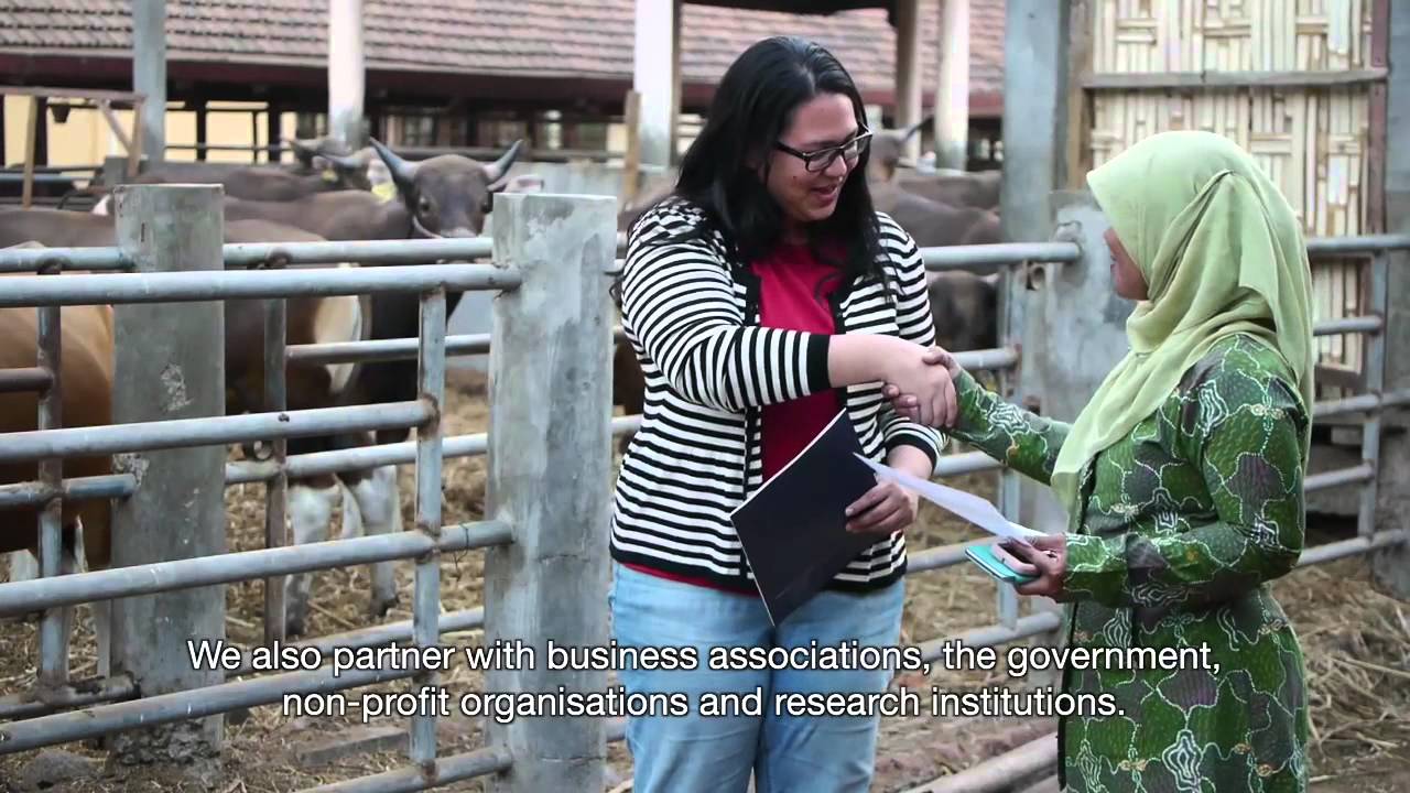PRISMA Company Profile