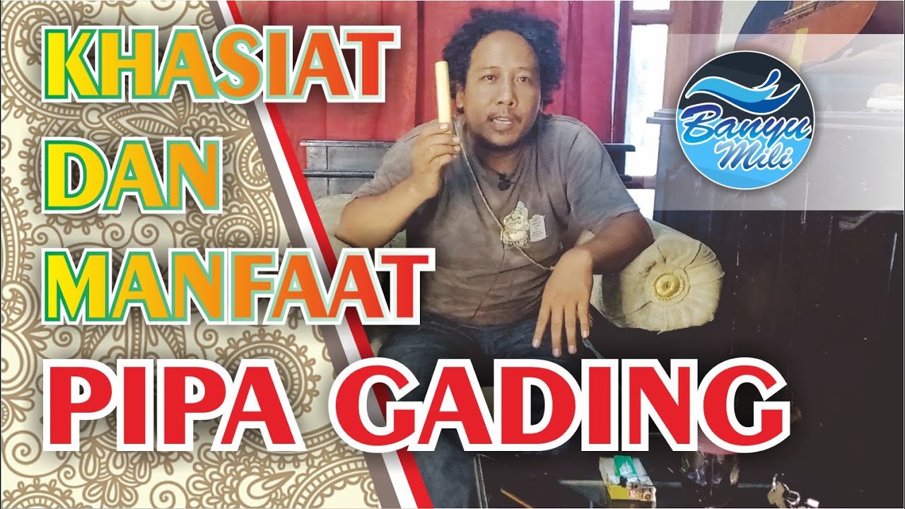 Manfaat Pipa Gading Yang Jarang Orang Ketahui | Banyu Mili