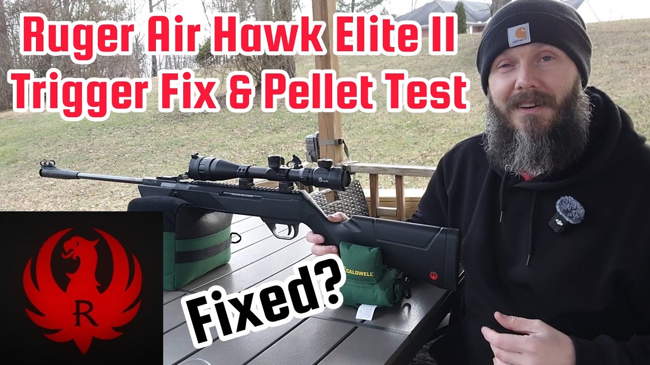 Ремонт спускового механизма Ruger Air Hawk Elite II и, наконец, подбор подходящих пуль.