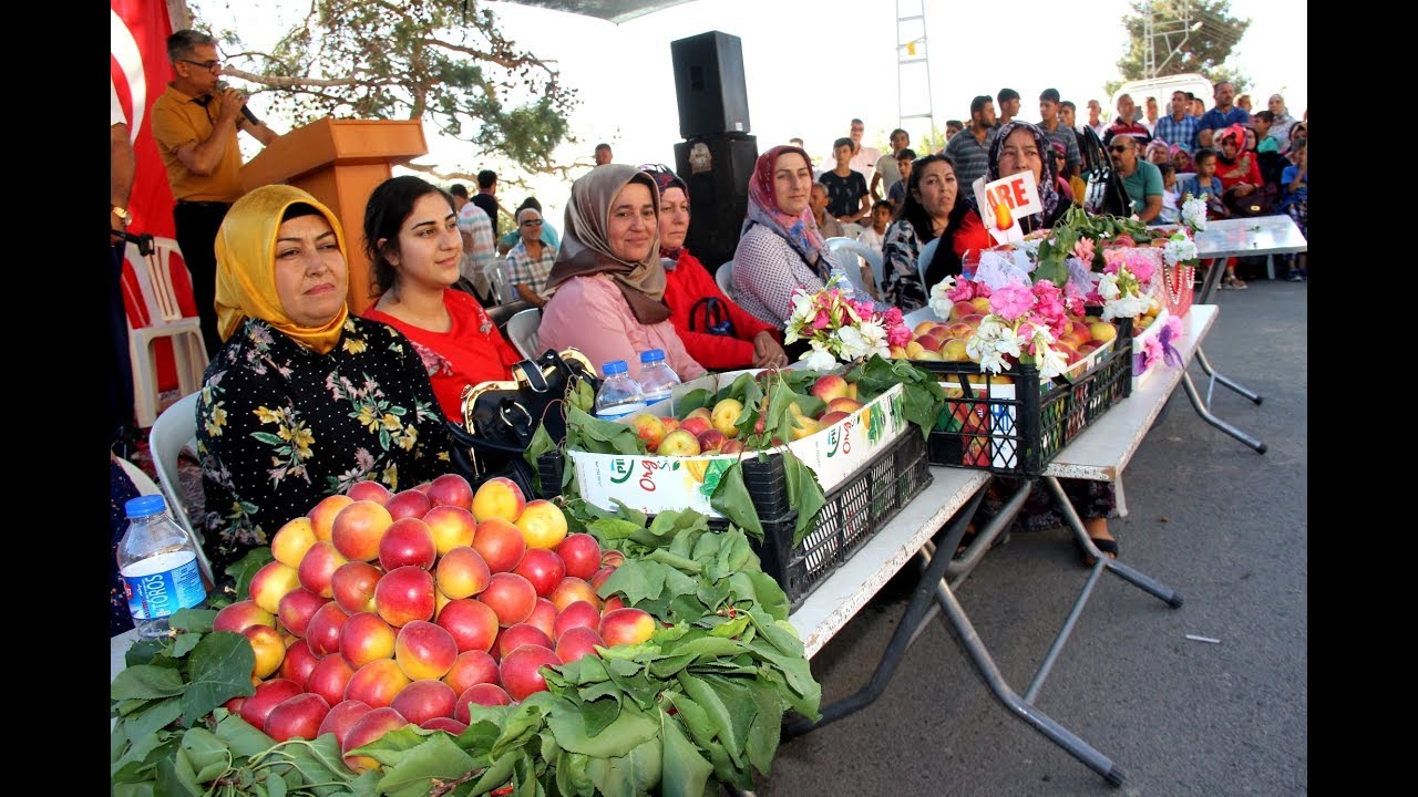 Amanoslar’da Kurtbağı Köyünde 'Kayısı Festivali'