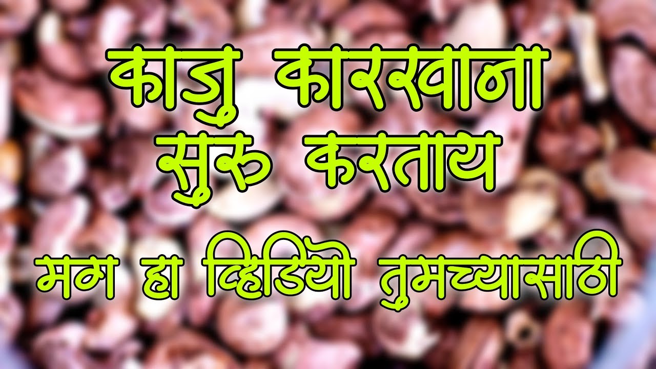 बँकेची नोकरी सोडली, सुरू केला काजू कारखाना 