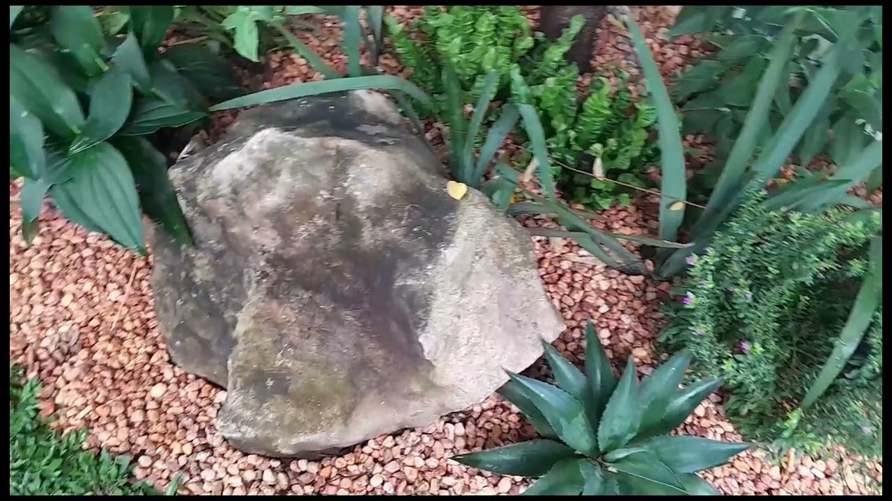 It Looks Beautiful.