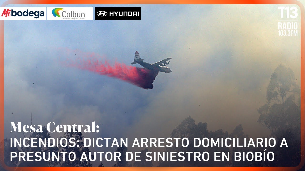 Incendios: Dictan arresto domiciliario a presunto autor de siniestro en BioBío | Mesa Central