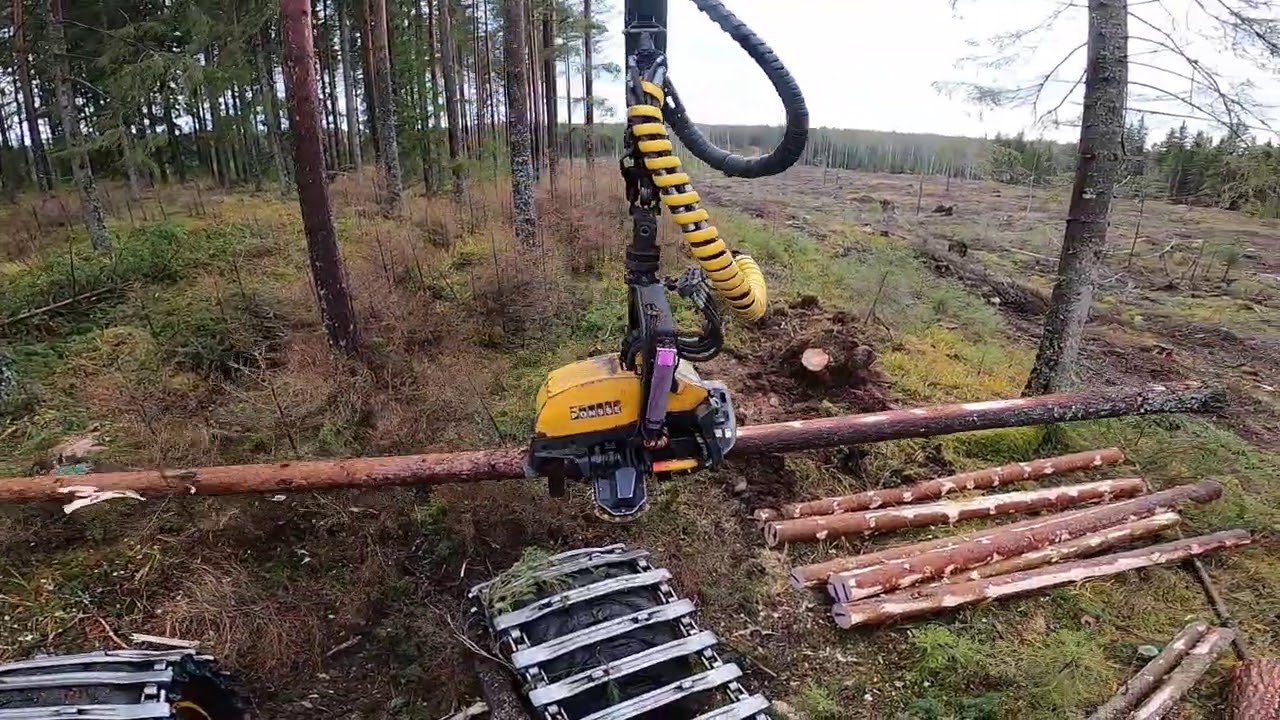 Aika herkkua hakata tällänen metsä ja vähän FSC juttuja yritin selittää. Ponsse Scorpion King H7.