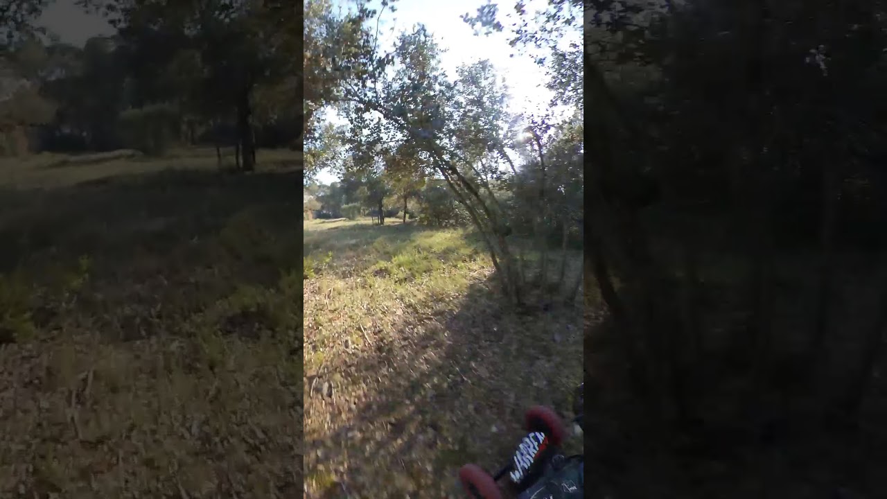 Dual motors | MBS Matrix II Pro | MBS Pro 97 Dylan Warren II | Turnigy SK8 192KV by dchkg