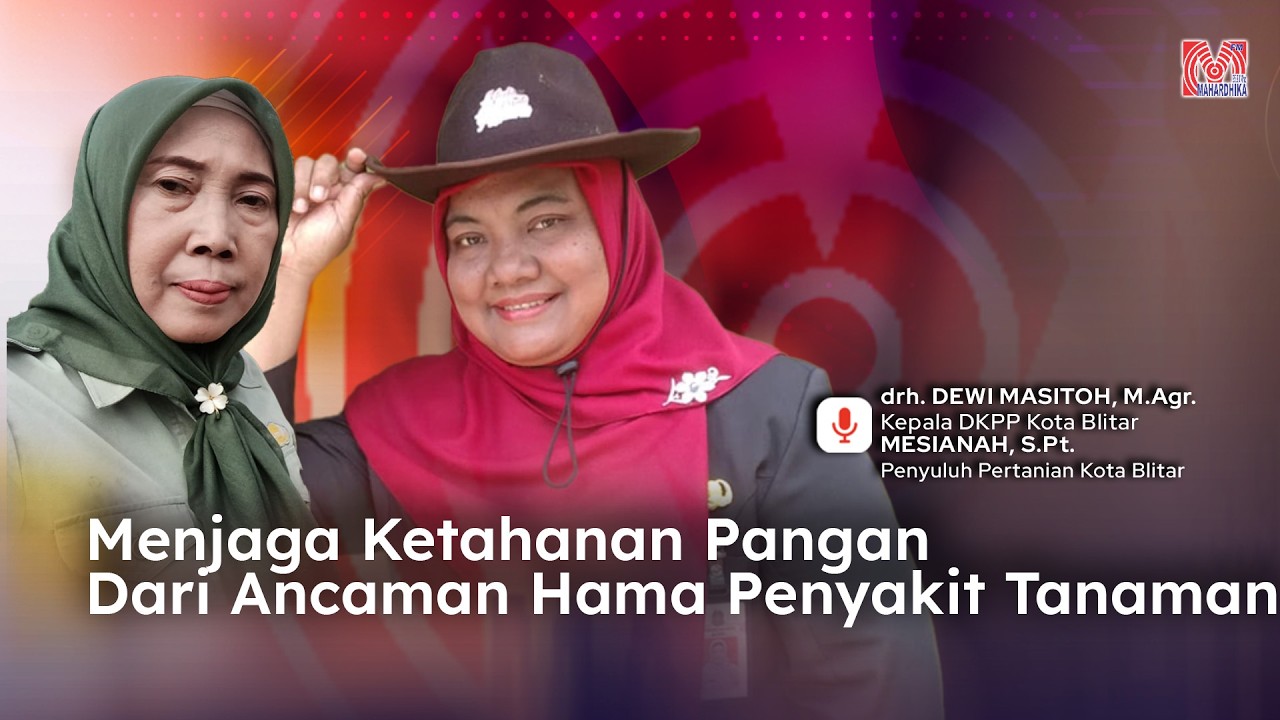 Menjaga Ketahanan Pangan Dari Ancaman Hama Penyakit Tanaman