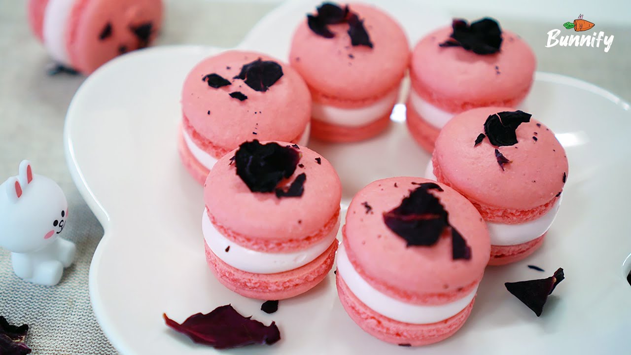 [4K] 장미 마카롱🌹 Rose Macarons バラマカロン | 버니파이Bunnify