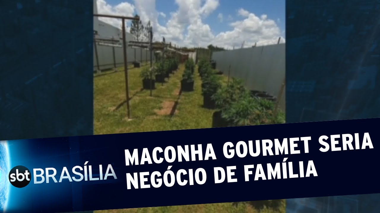Delegado de polícia é preso com plantação de maconha | SBT Brasília 07/12/2020