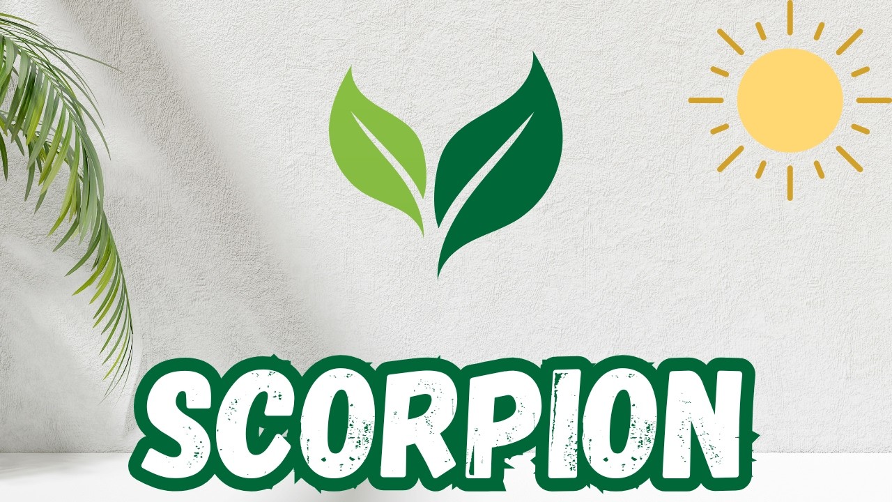 SCORPION ❤️Quelque chose de très fort va vous arriver ces jours-ci‼️QUELQU'UN VEUT RÉPARER UN PANÉ