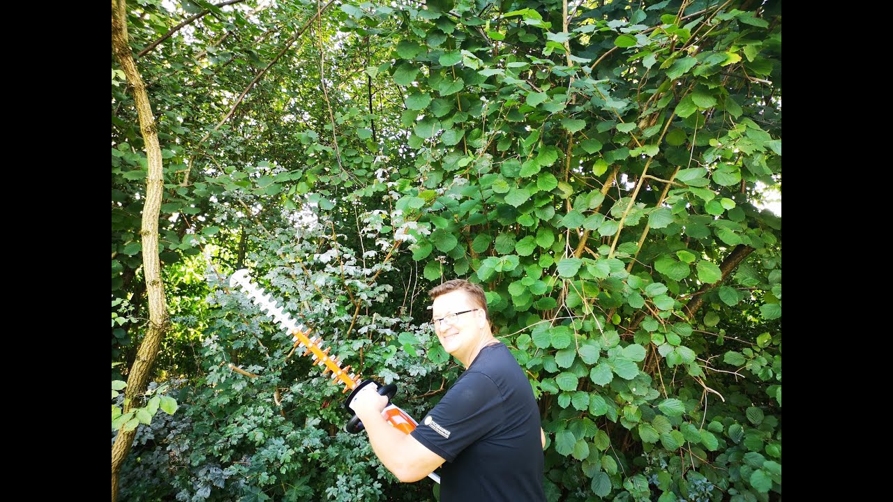 Stihl Akku-Heckenschere HSA 100 ausführlich erklärt und vorgestellt mit Test an der großen Hecke