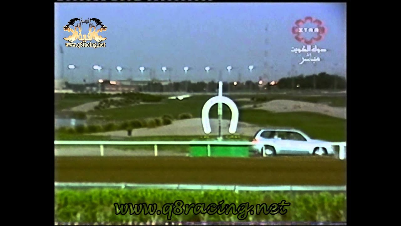 الجواد فلاح