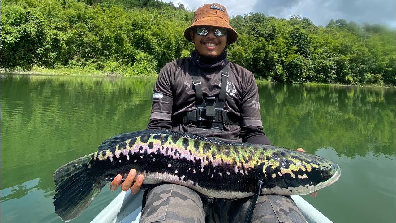 MAMA TOMAN TASIK BERIS