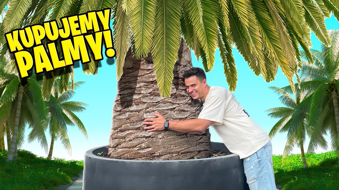 ODBIŁA MI PALMA! KUPUJEMY PALMY W POLSCE!