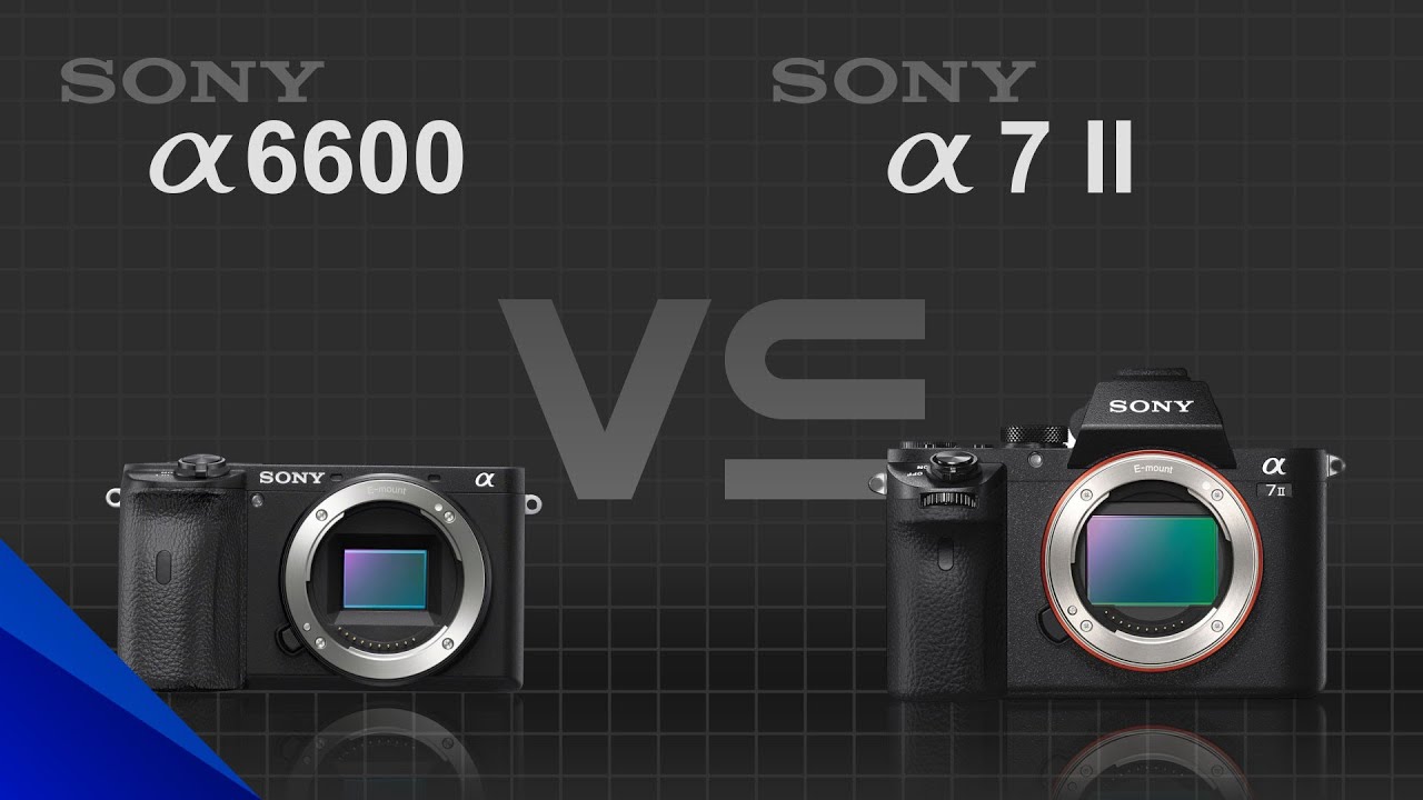Sony alpha a6600 vs Sony alpha a7 II