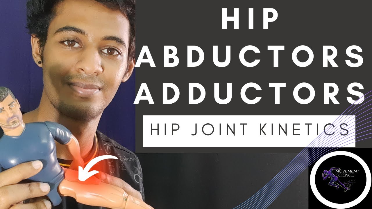 ADDUCTORS AND ABDUCTORS OF HIP (HIP JOINT KINETICS(HIP  COMPLEX BIOMECHANICS)Physiotherapy Tutorials