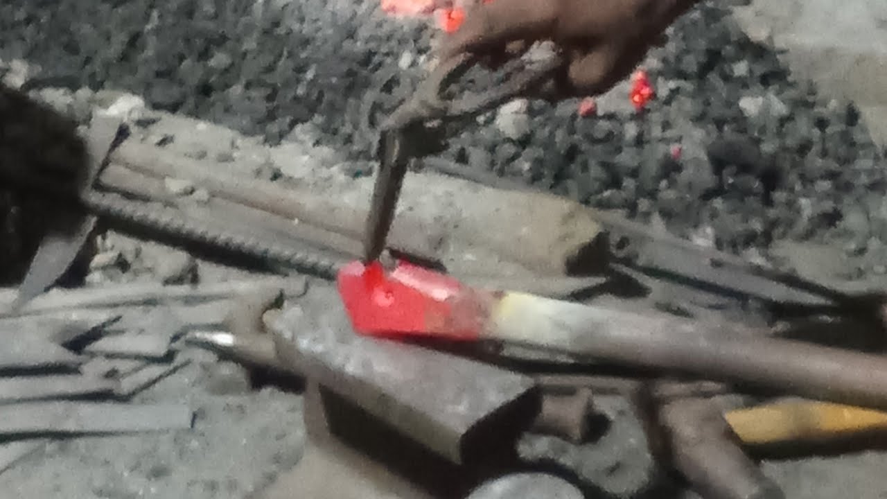 Live Nursery Flower Showcase | Beautiful Garden Flowers & Tips