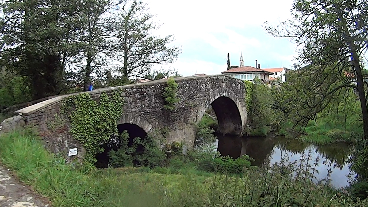 Etapa 29: Palas de Rei a Arzúa.