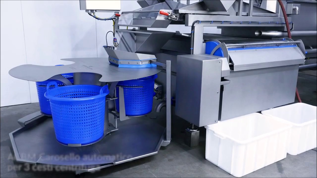 Linea ad alta capacità per taglio e lavaggio vegetali