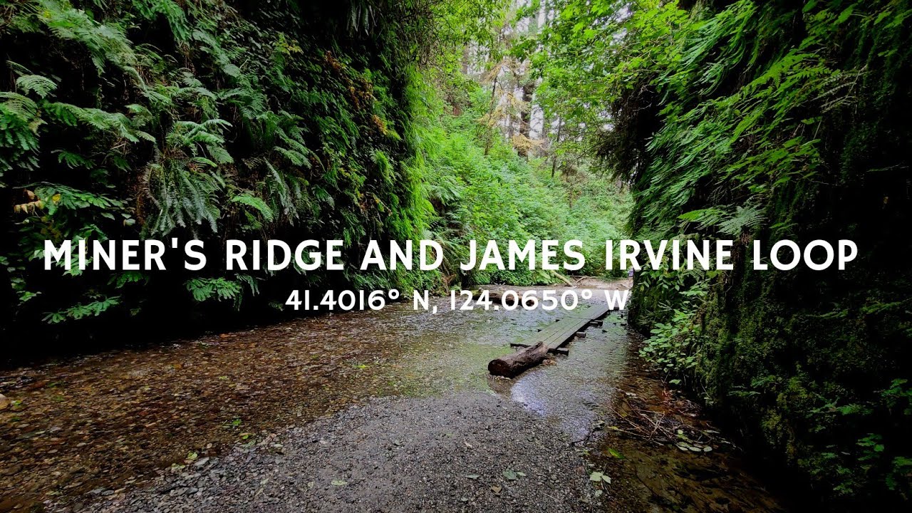 Miner's Ridge and James Irvine Loop Trail // Orick, CA // July 2022