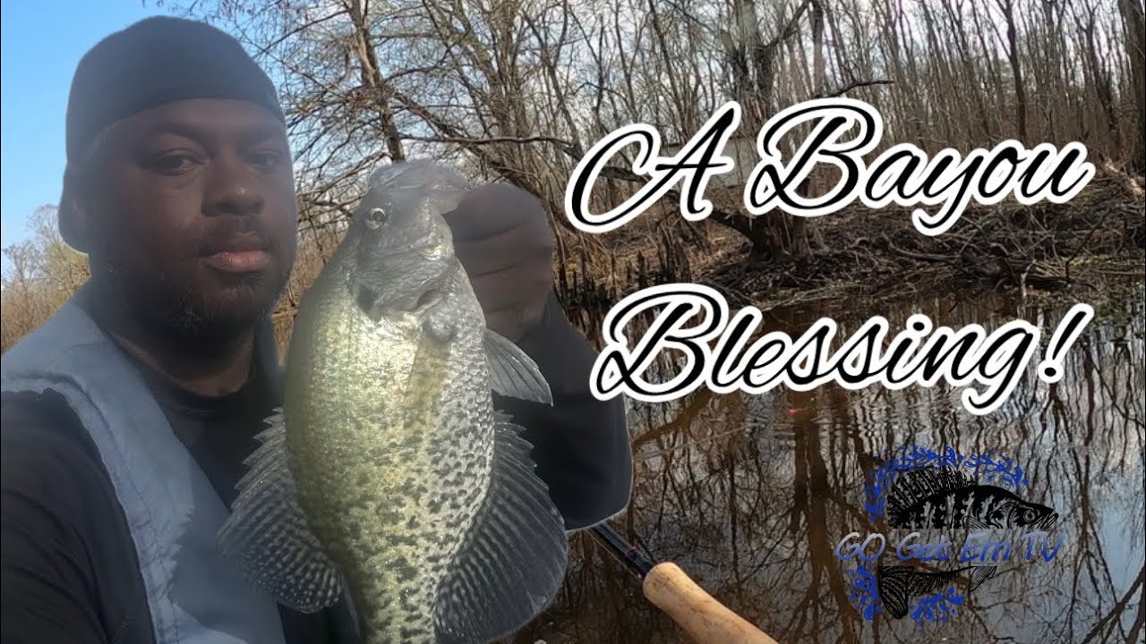 Настоящее благословение болот!