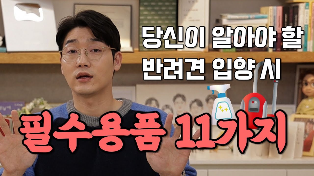 강아지 입양시 챙겨야 할 11가지 준비물! (크레이트, 육각장, 베이비게이트 등등)