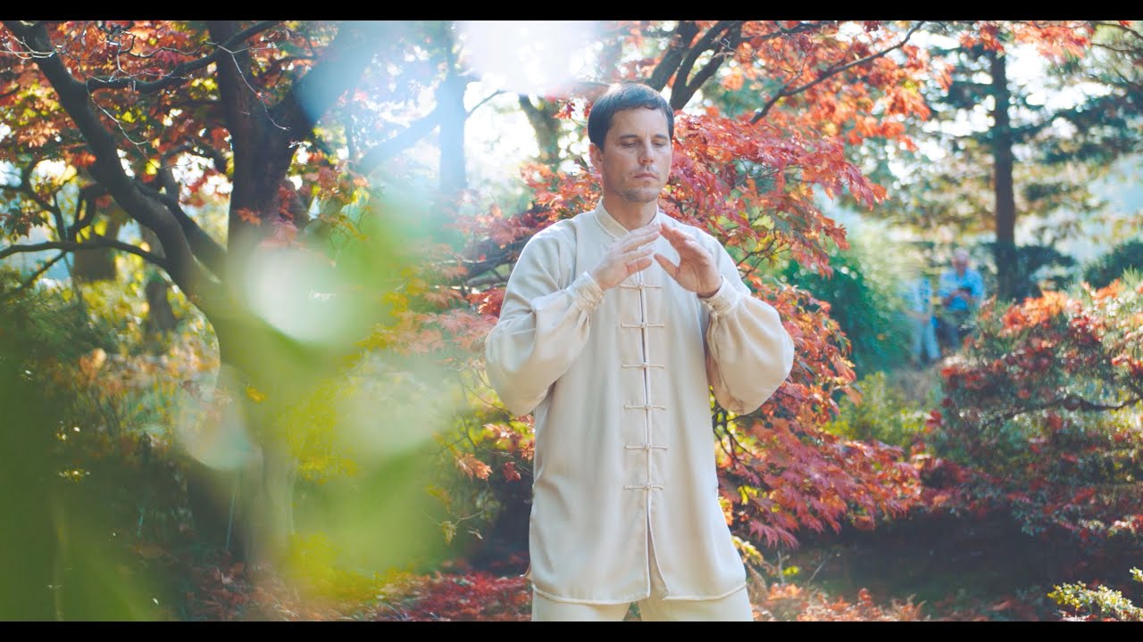 SANBAO Onlinekurs: Qigong at Home 2