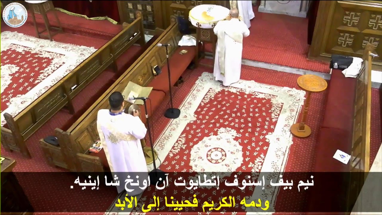 قداس الاحد الاول القمص أنطونيوس إميل والقس موسي هارون 8-2-2026