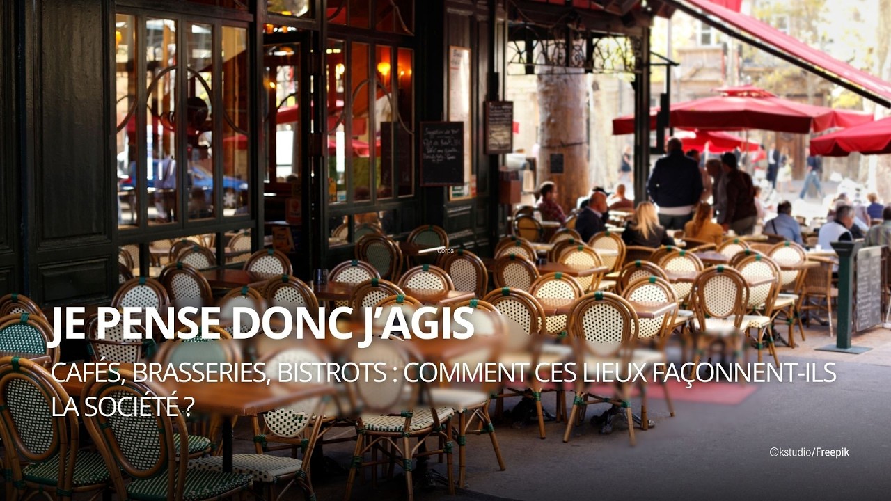 Cafés, brasseries, bistrots : comment ces lieux façonnent-ils la société ?