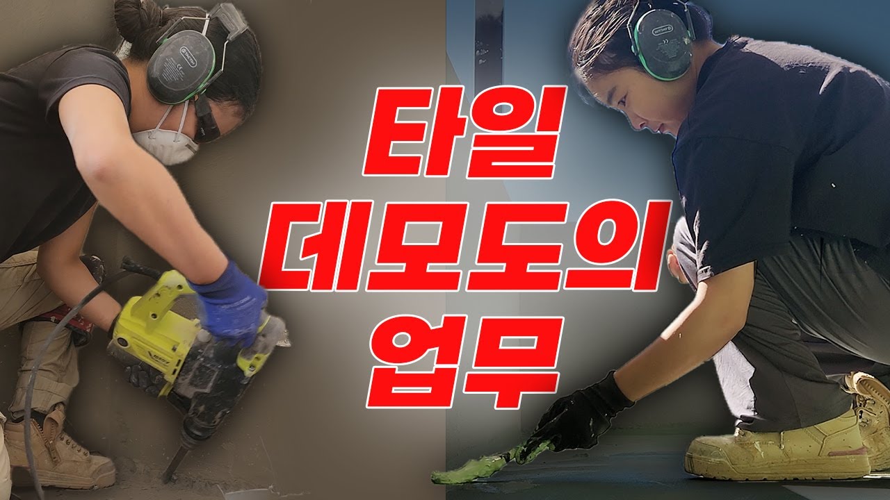 호주 워홀 타일 데모도는 어떤 일을 할까? 이건 알고 시작하세요!