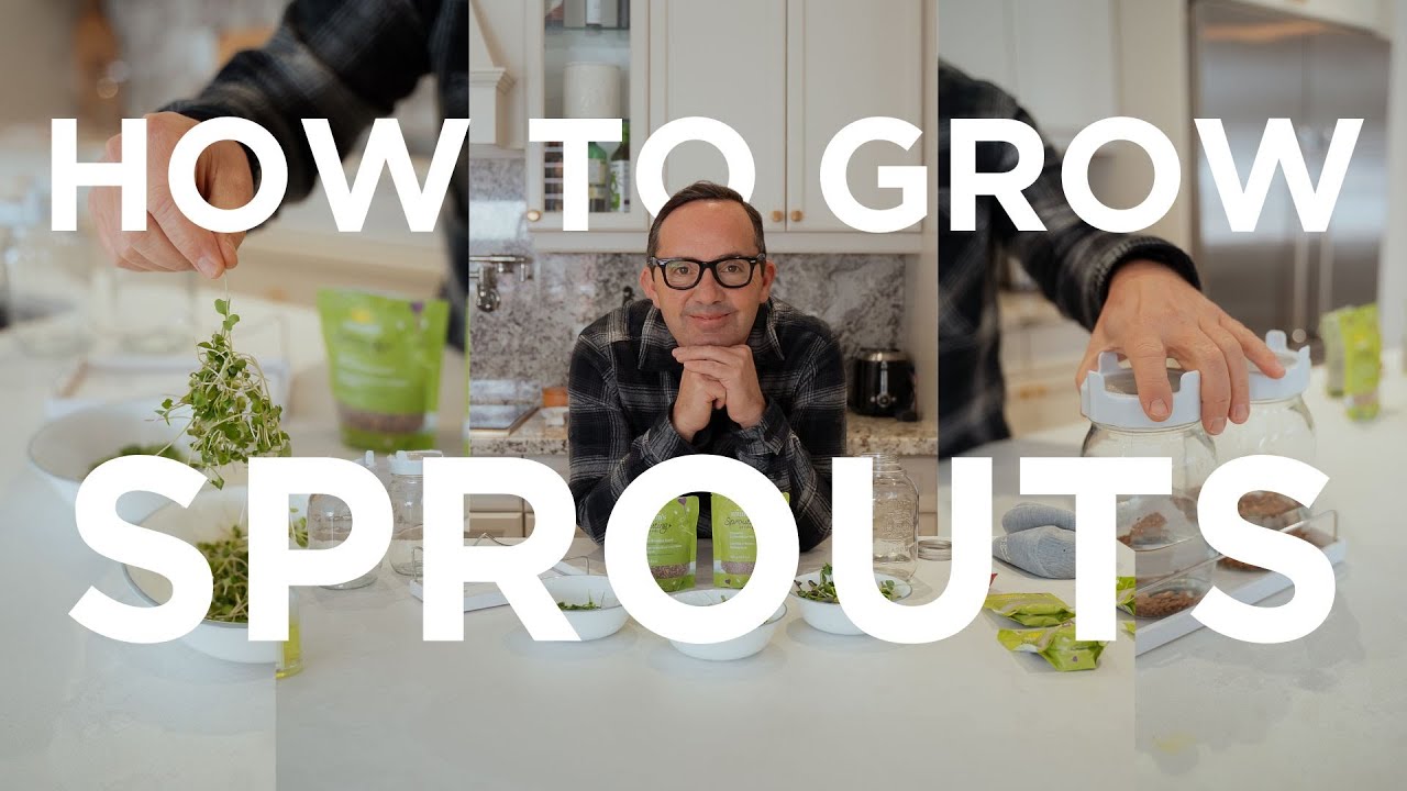 КАК ВЫРАСТИТЬ РОСТКИ ДОМА 🌱 #выращиваниепродуктов #ростки