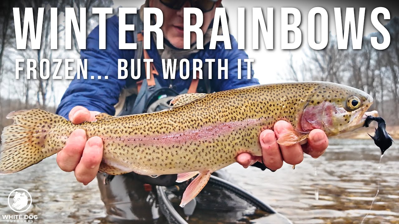GRINDING for Winter Trout: STREAMERS vs NYMPHS in Freezing Water
