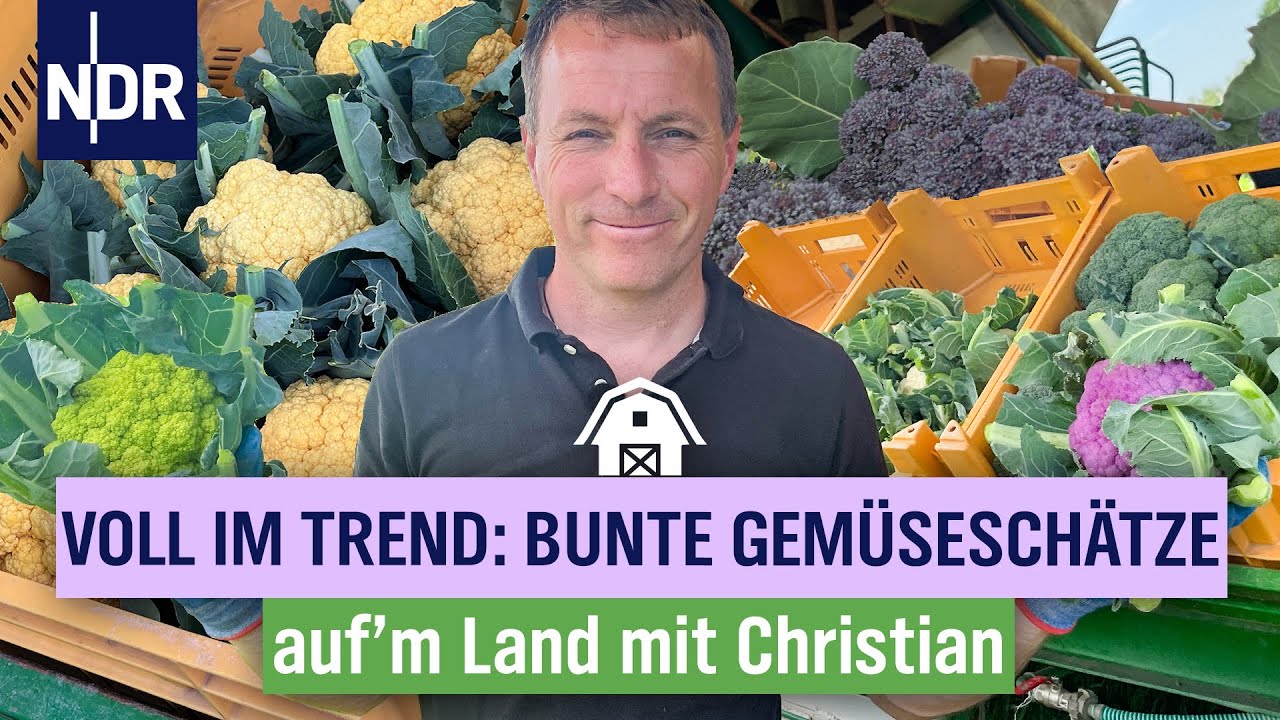 Von Lila bis Orange &ndash; Christian erntet farbenfrohes Gem&uuml;se und hat damit Erfolg | Folge 9 | NDR