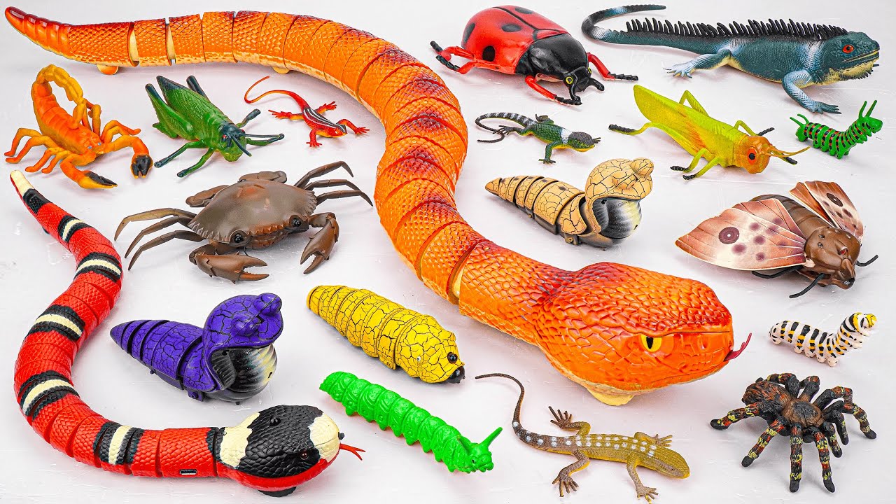 Ultimate ZURU Robo Alive Insects ASMR 🦎 Anaconda, Spider, Worm (No Talking)