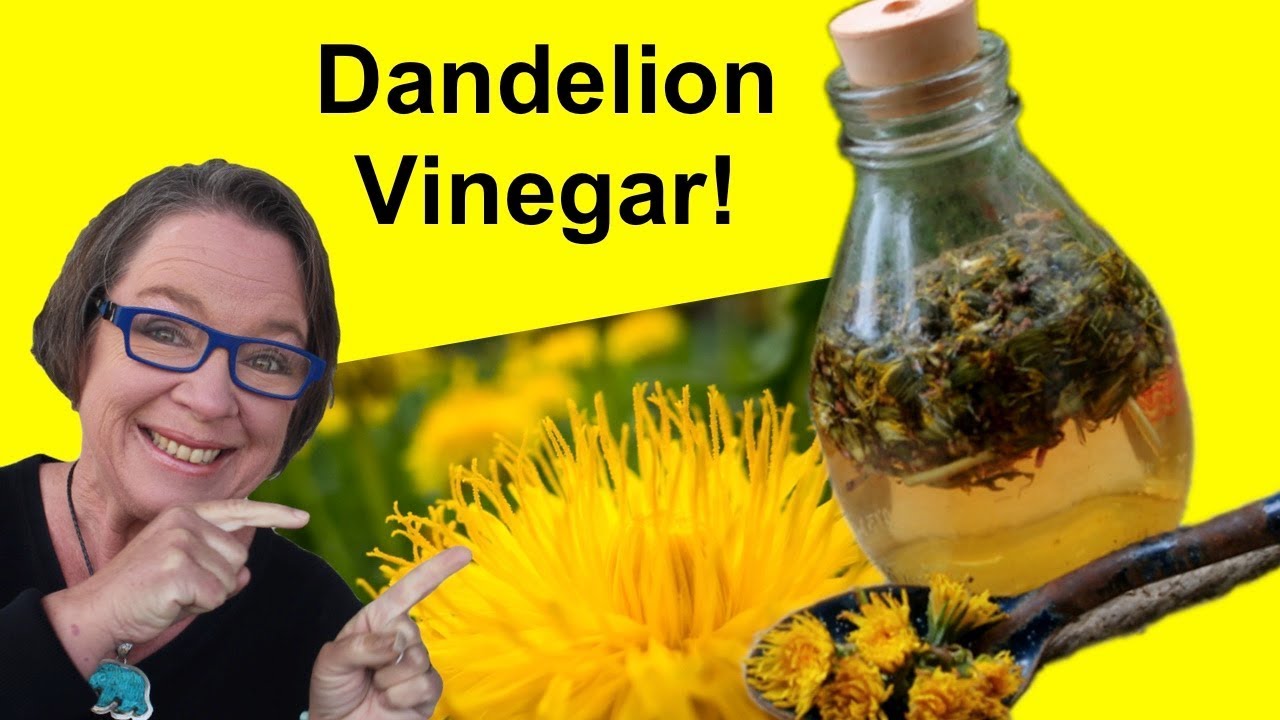 ✅ Dandelion Vinegar Recipe: Eat the Dandelion Harvest!