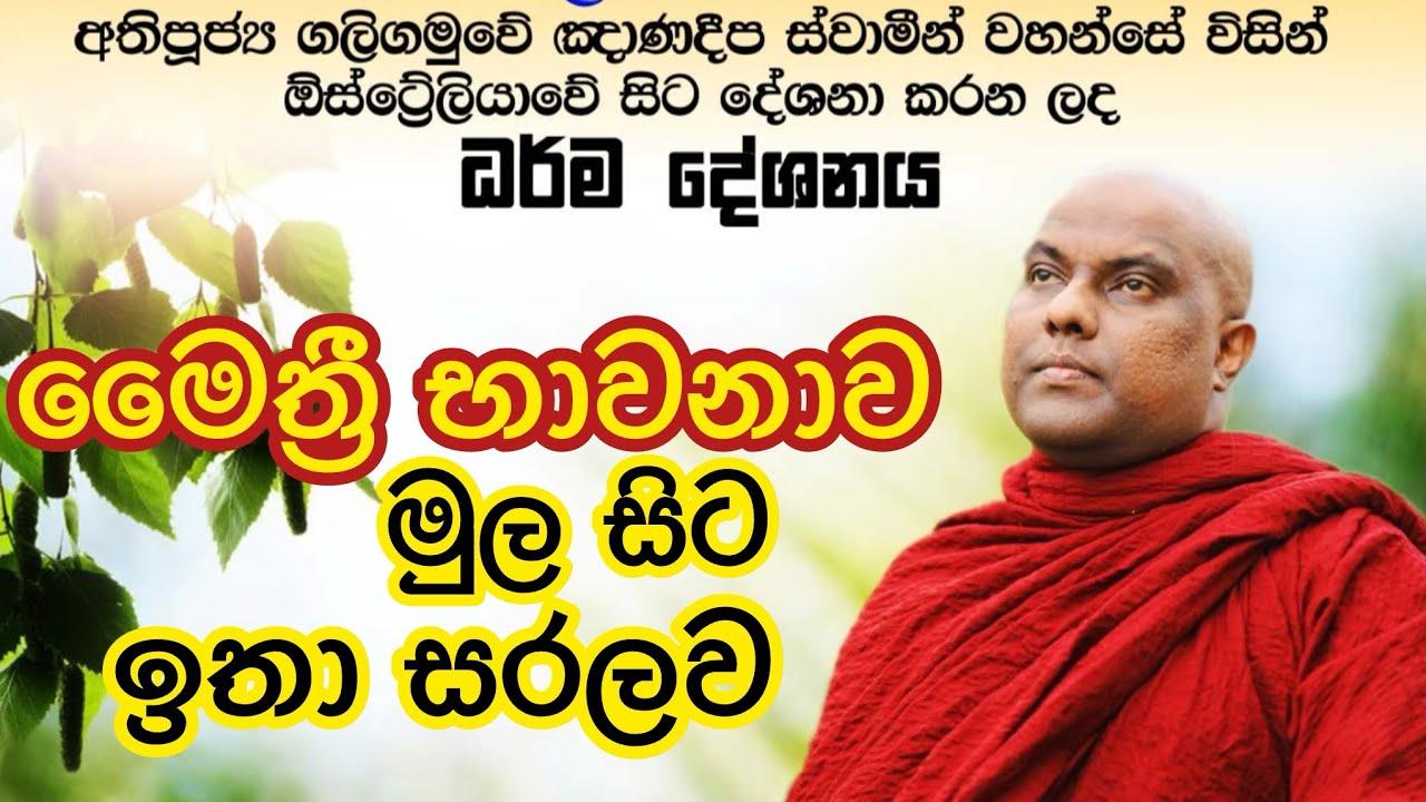 මෛත්‍රී භාවනාව පියවරෙන් පියවර දියුණු කරන ආකාරය මුල සිට ඉගෙන ගන්න - Galigamuwe Gnanadeepa Thero