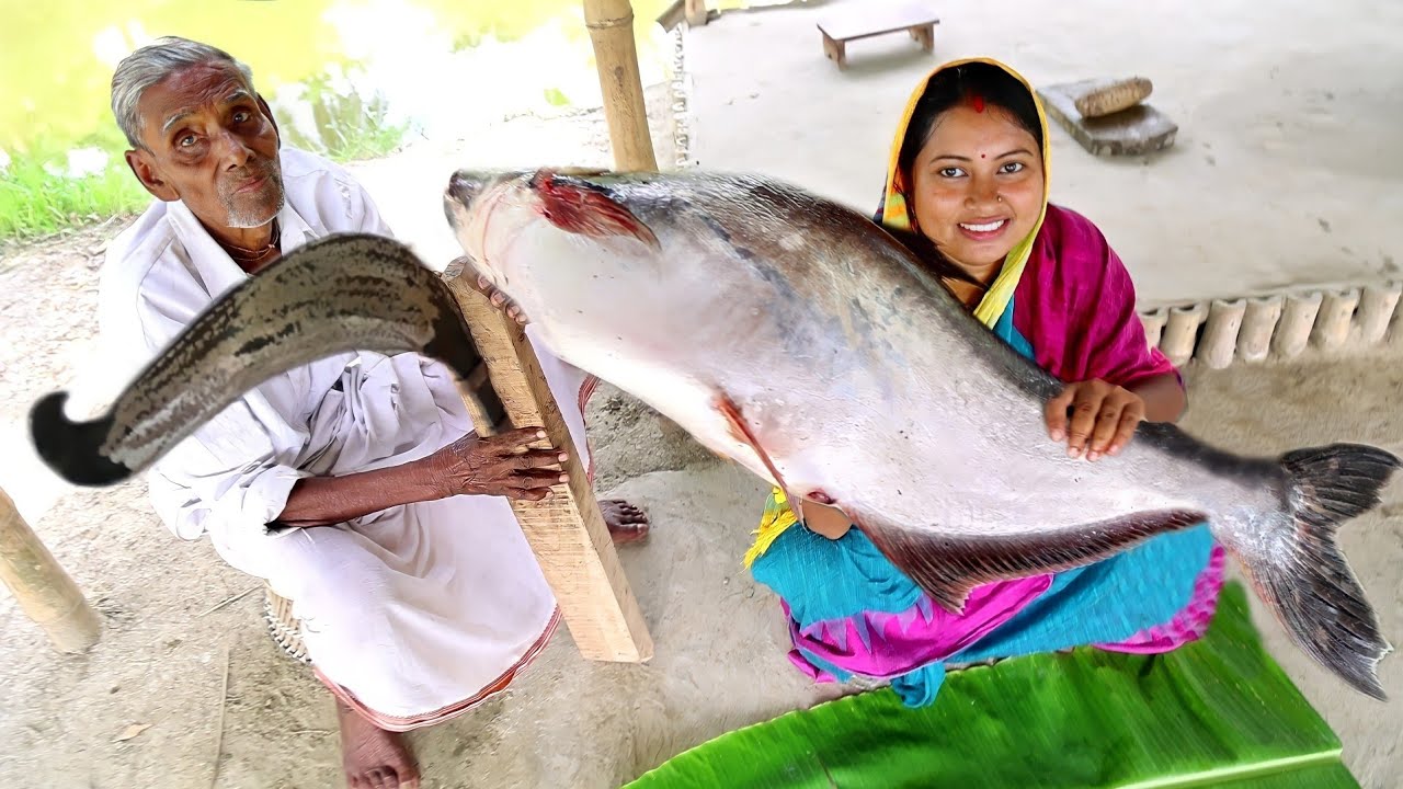 আজ বোম্বাই সাইজের 5.5 kg ওজনের পাঙ্গাশ মাছ কেটে আলু দিয়ে কালিয়া বানালাম||big fish cutting&cooking
