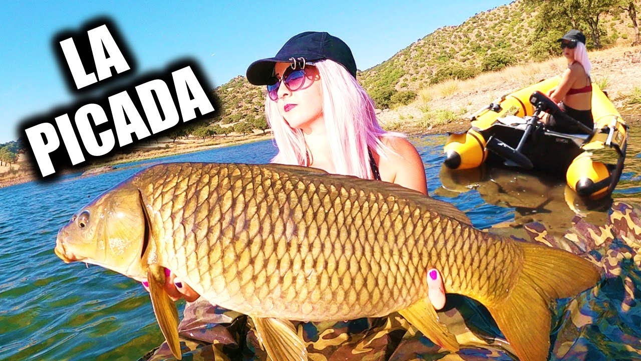 Tenemos una picada inesperada y nos quedamos sorprendidos. Sesión carpfishing Encinarejo