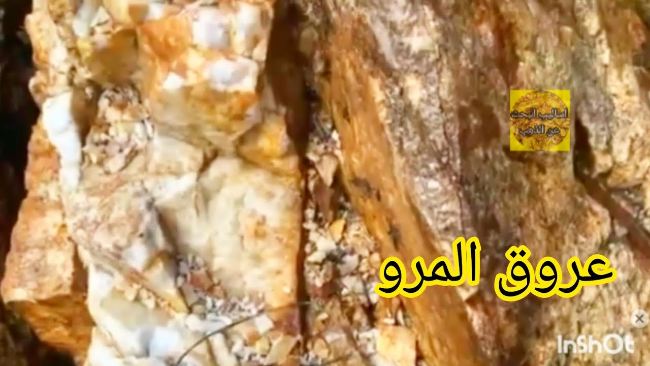 تعرف على انواع عروق المرو الحاضنة للذهب