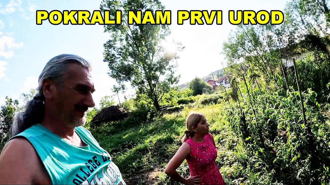 Ko nam je to pokrao baštu i šta je sve nestalo iz nje
