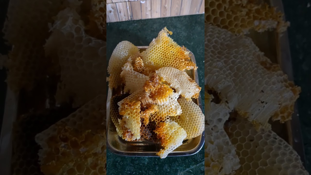 how to make wax from honey? #wax #honeycomb #honeybee #organic #natual #tutorial #cosmetics #beewax