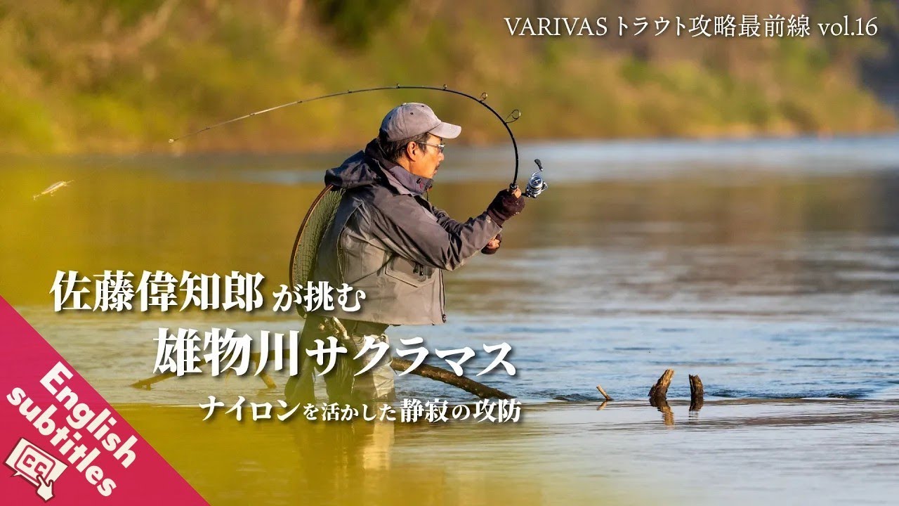 佐藤偉知郎が挑む 雄物川サクラマス “ナイロンを活かした静寂の攻防”【VARIVASトラウト攻略最前線 vol.16】　★