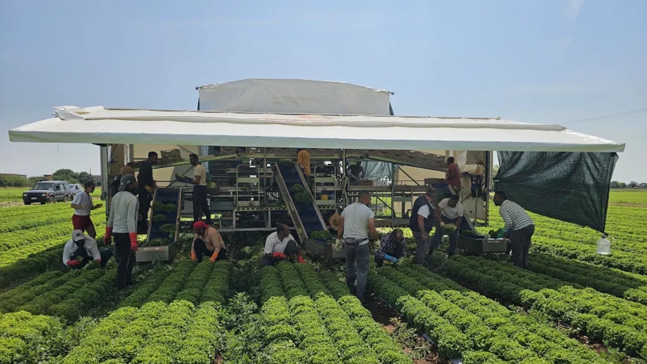 L'agevolatrice semovente che automatizza il lavoro in campo