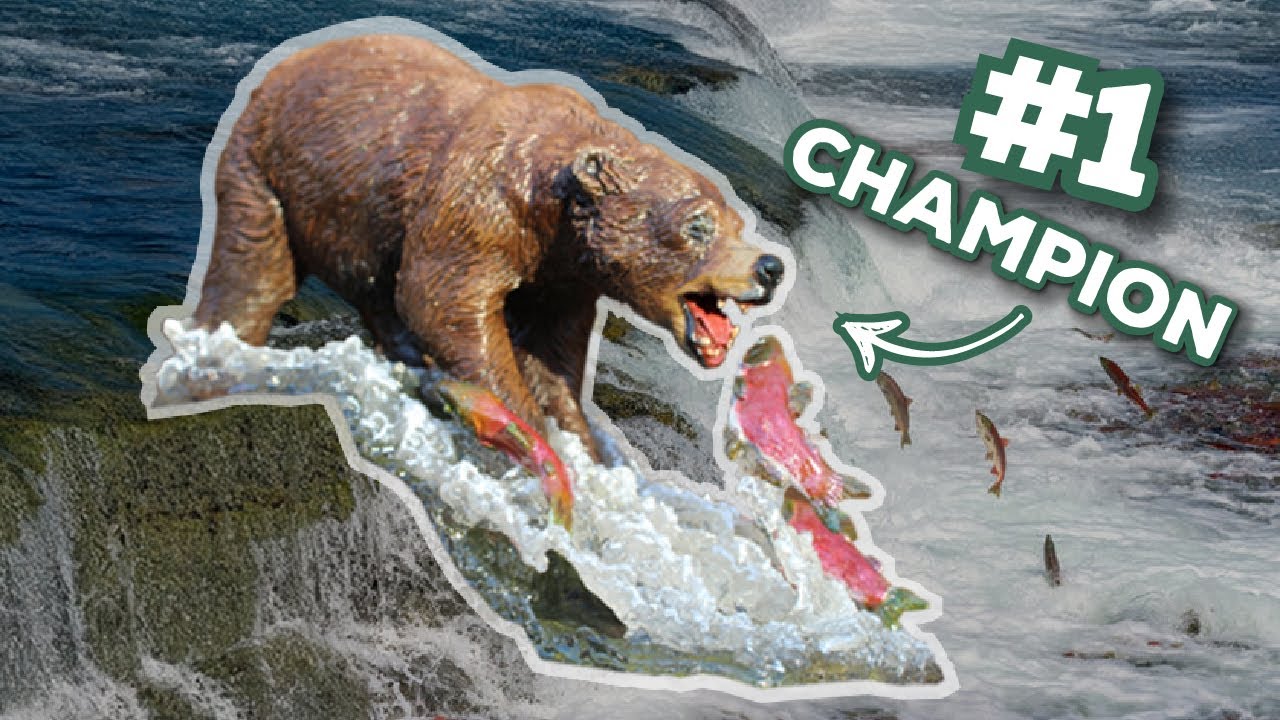 I sculpted the CHONKest bear in Alaska