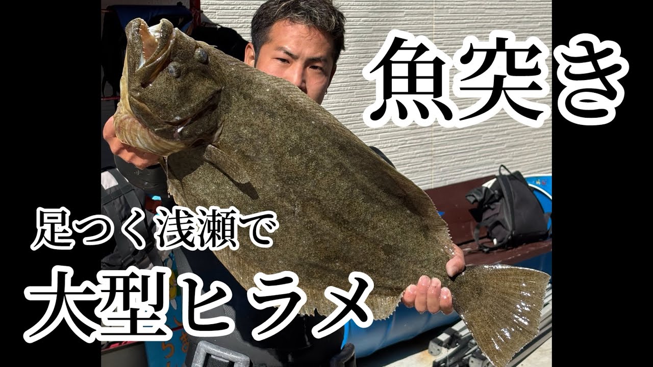 【魚突き】水深1メートルで巨大ヒラメを突く！