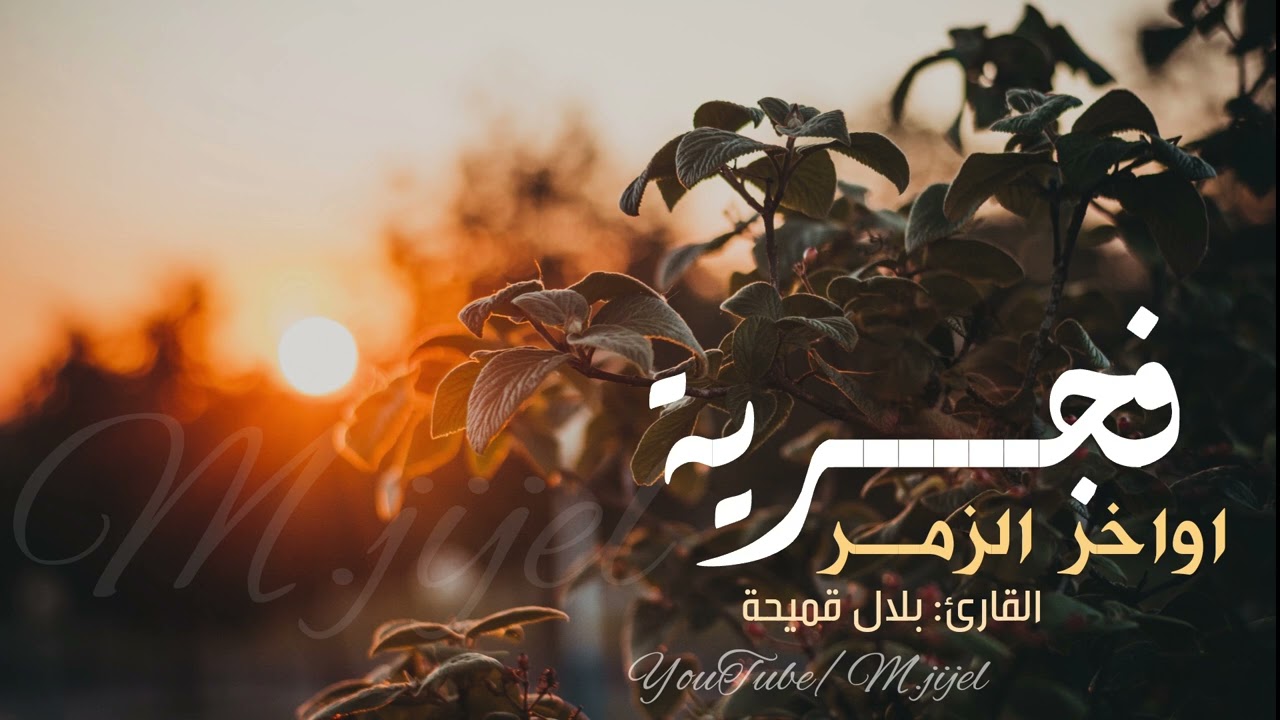 حين يتدبر القارئ الآيات ...⚡️  فجرية ابداعية للقارئ بلال قميحة من اواخر الزمر
